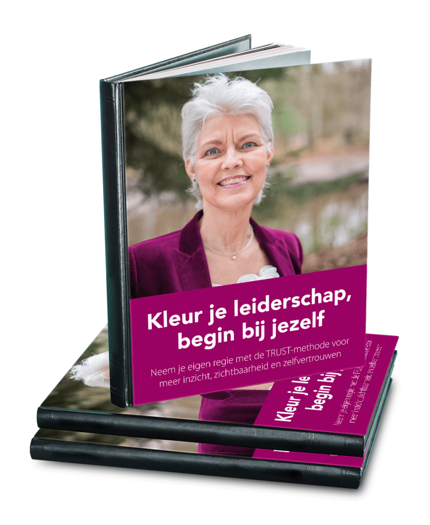 E-boek Persoonlijke Leiderschap cover