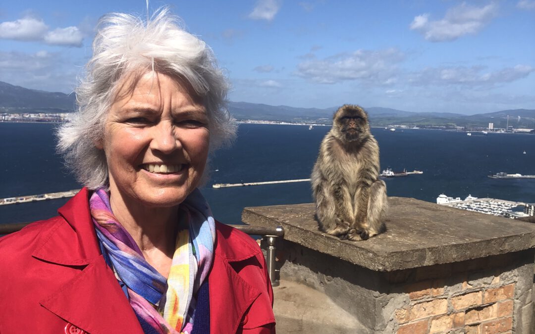 Vaarwel Monkey Mind: het pad naar een gezond en vitaal leven